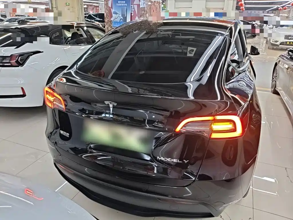 Tesla Model Y — миниатюра 6