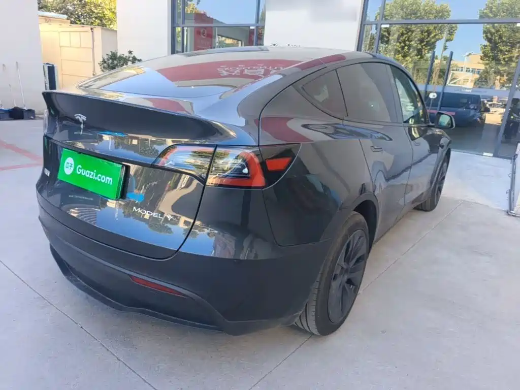 Tesla Model Y — миниатюра 7