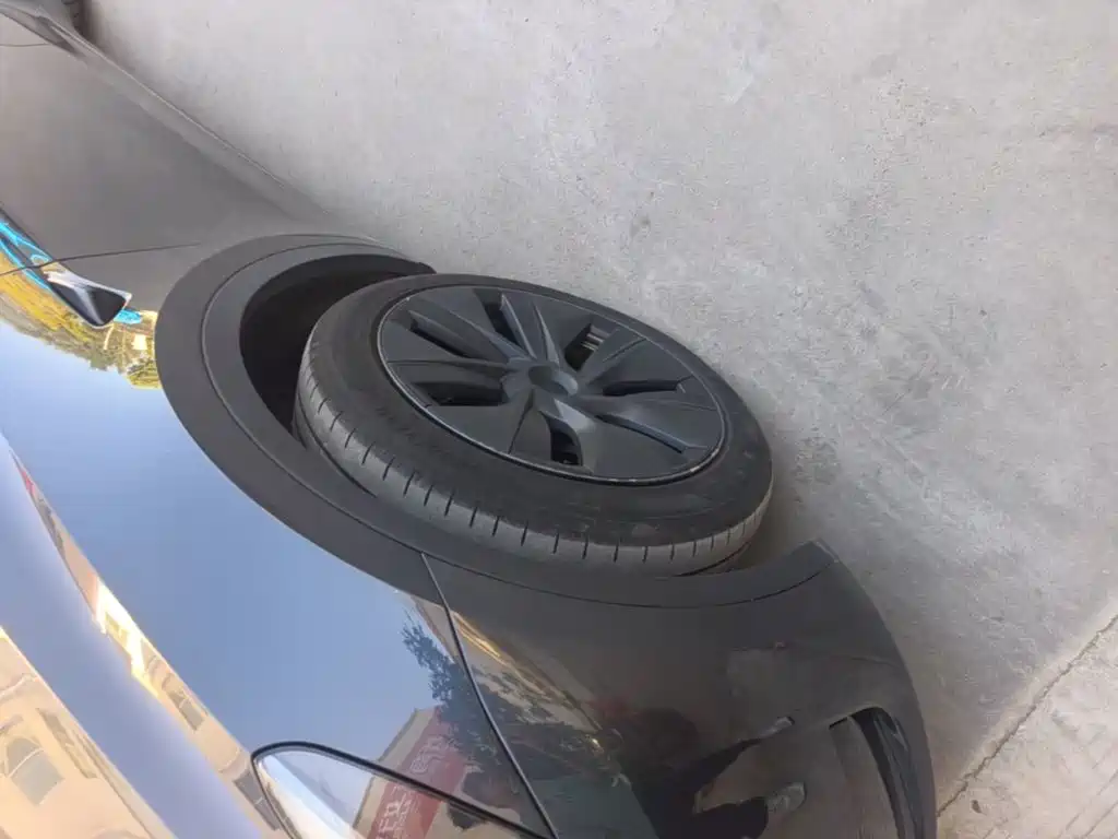 Tesla Model Y — миниатюра 23