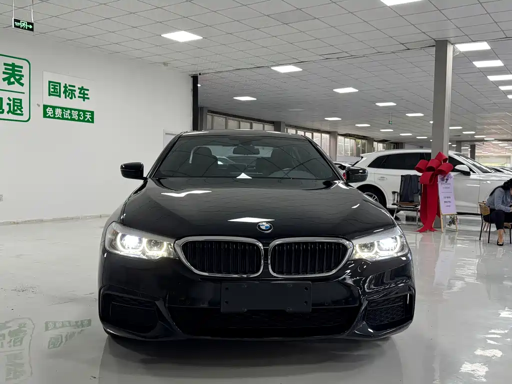 BMW 5 Series — миниатюра 3