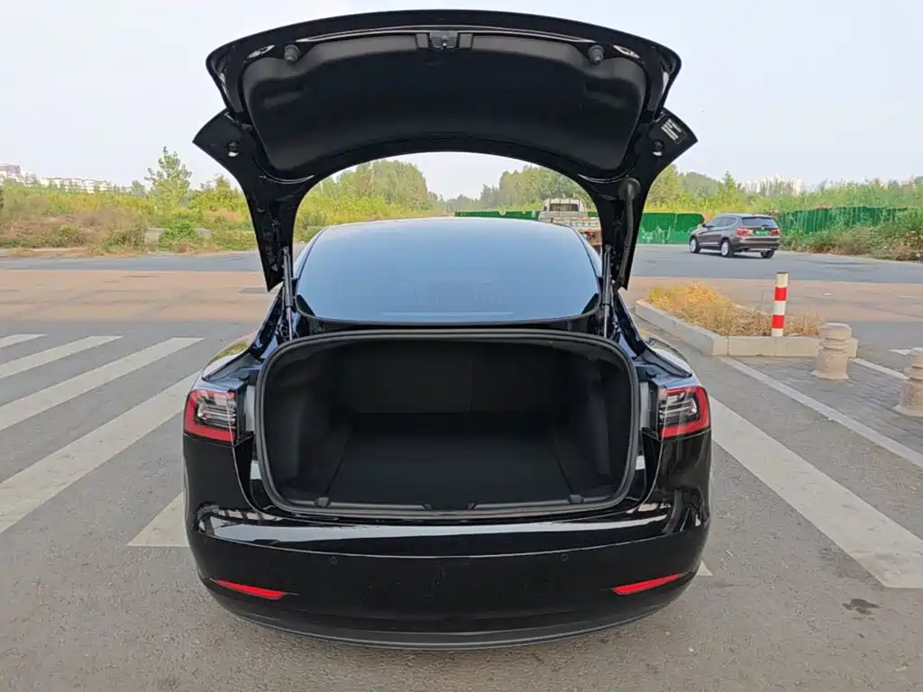 Tesla Model 3 — миниатюра 19