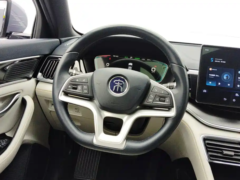 BYD PLUS New Energy — миниатюра 15