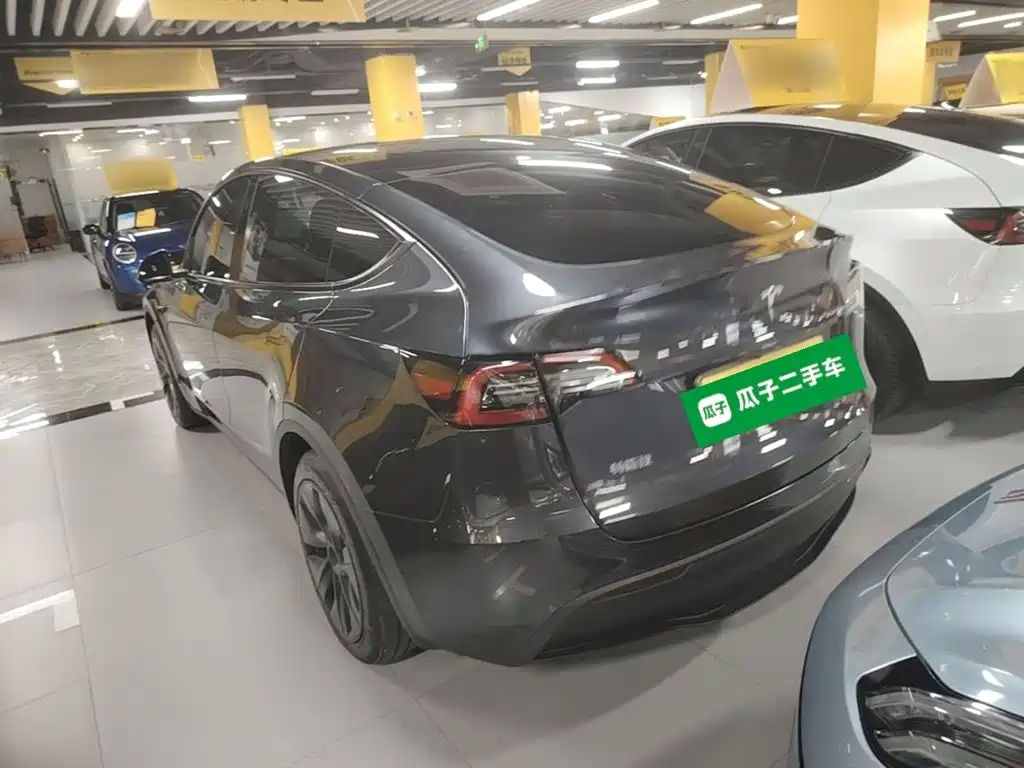 Tesla Model Y — миниатюра 5
