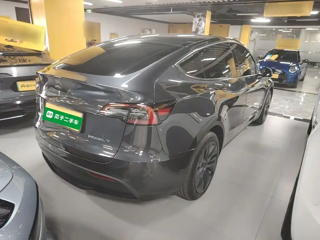 Tesla Model Y — миниатюра 7