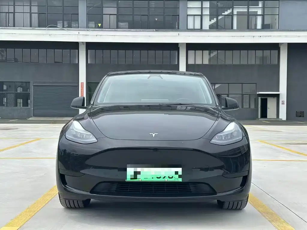 Tesla Model Y — миниатюра 2