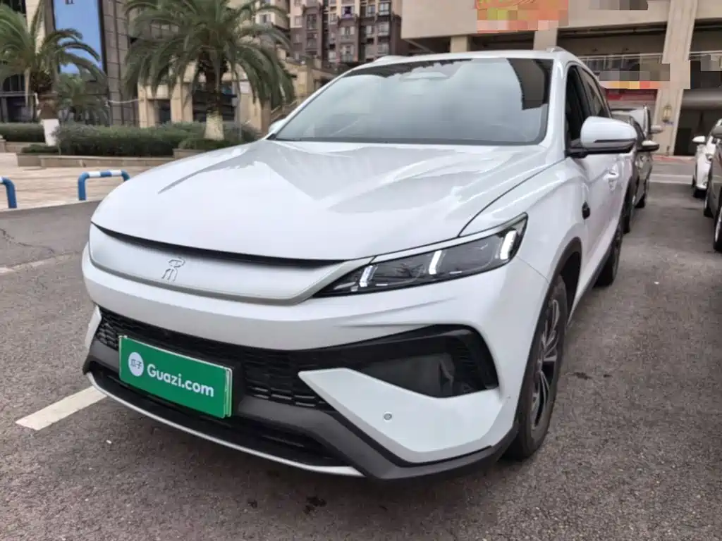 BYD Pro New Energy — миниатюра 2