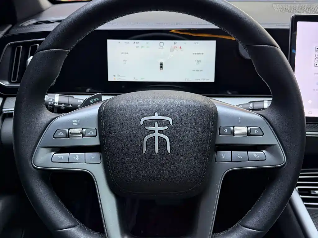 BYD Pro New Energy — миниатюра 12