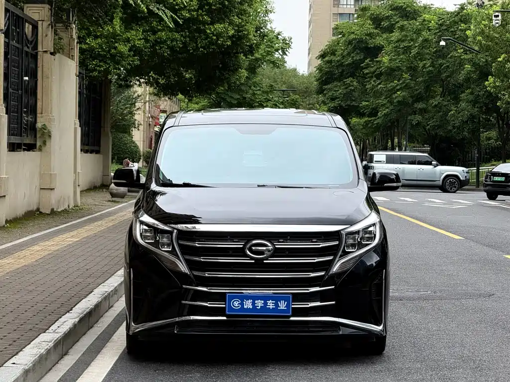 GAC Motor Trumpchi M8 — миниатюра 2