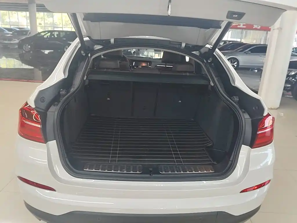 BMW X4 — миниатюра 19