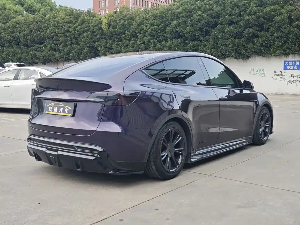 Tesla Model Y — миниатюра 4