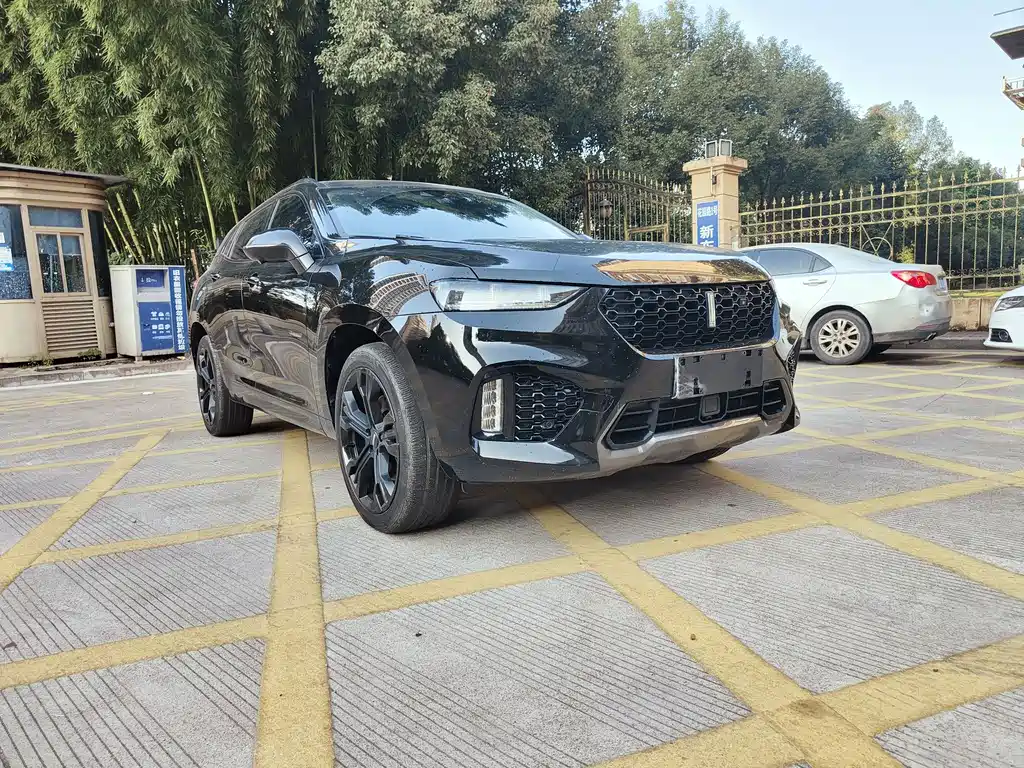 WEI PAI WEI BRAND VV7