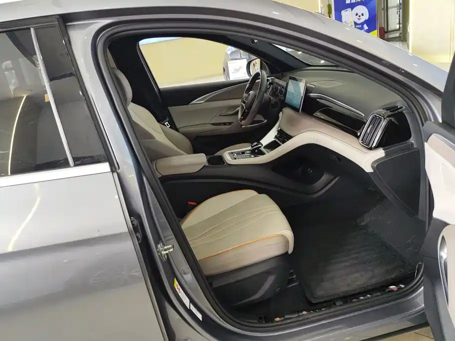 BYD Pro New Energy — миниатюра 8
