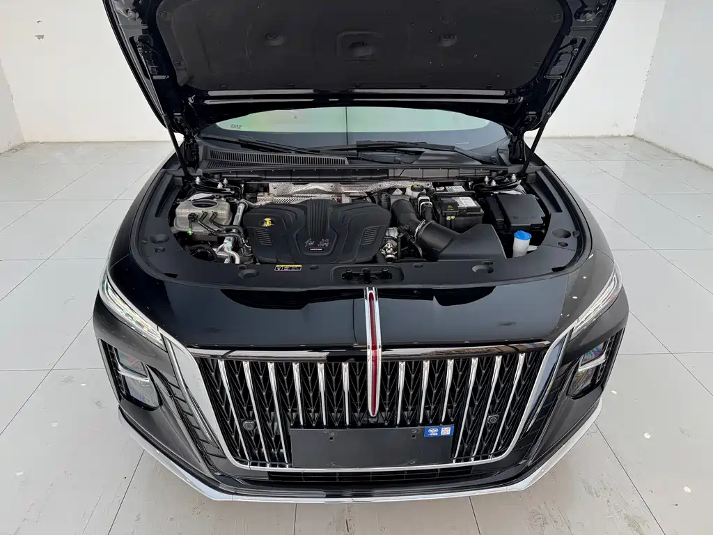 Hongqi Hongqi H5 — миниатюра 16