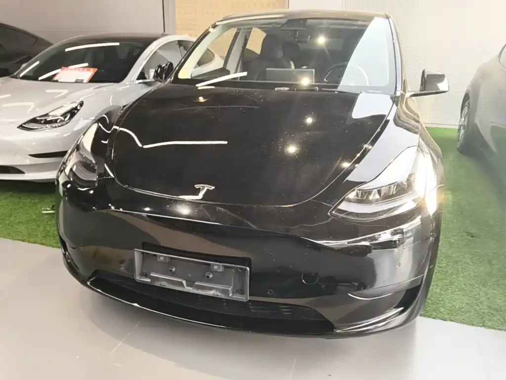 Tesla Model Y — миниатюра 3