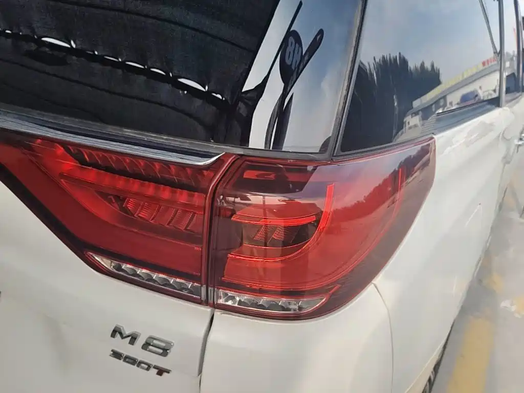 GAC Motor Trumpchi M8 — миниатюра 8