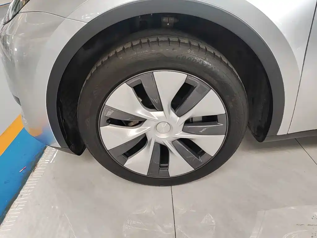 Tesla Model Y — миниатюра 23