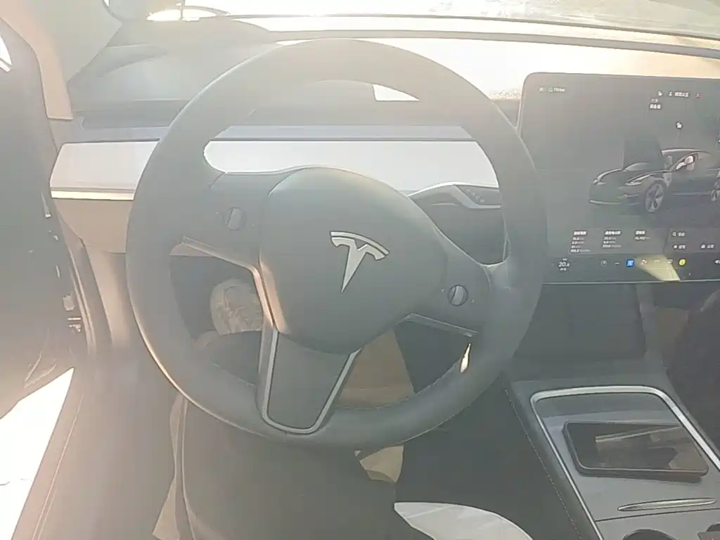 Tesla Model 3 — миниатюра 11