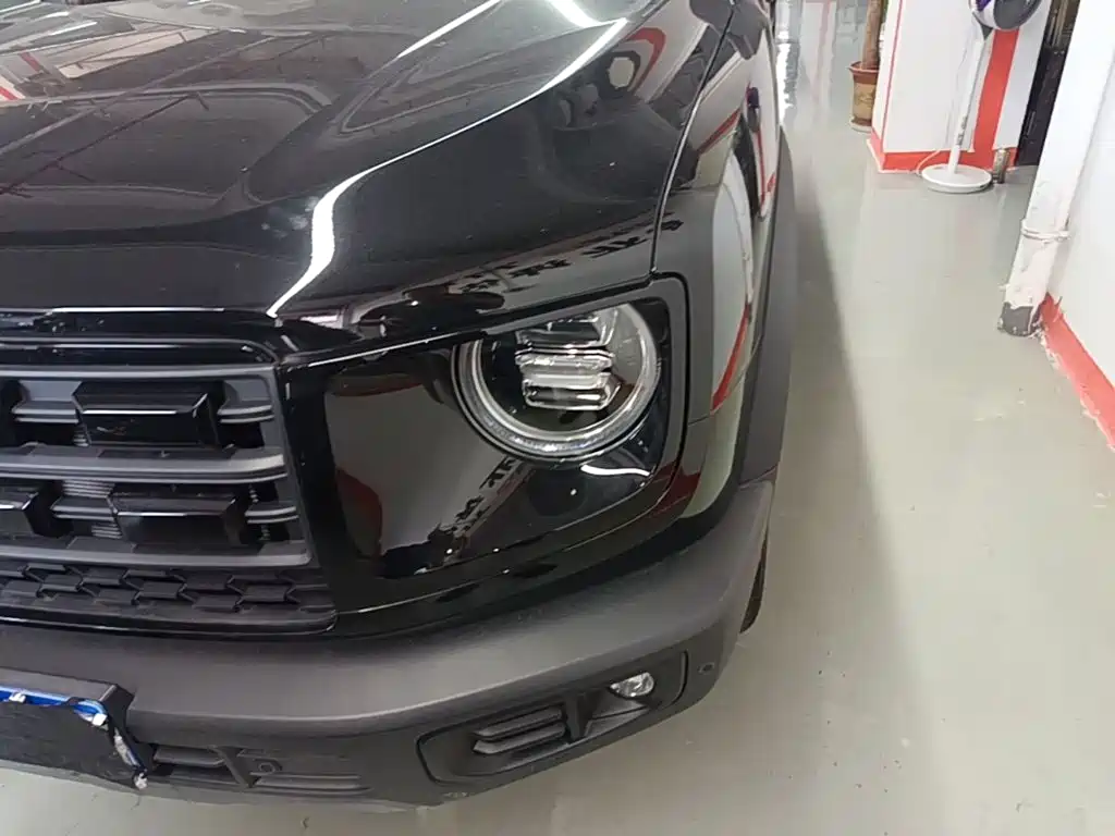 Haval Big Dog — миниатюра 24