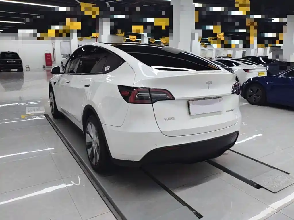 Tesla Model Y — миниатюра 5