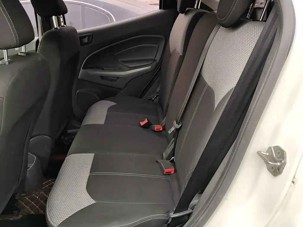 Ford Ecosport — миниатюра 17