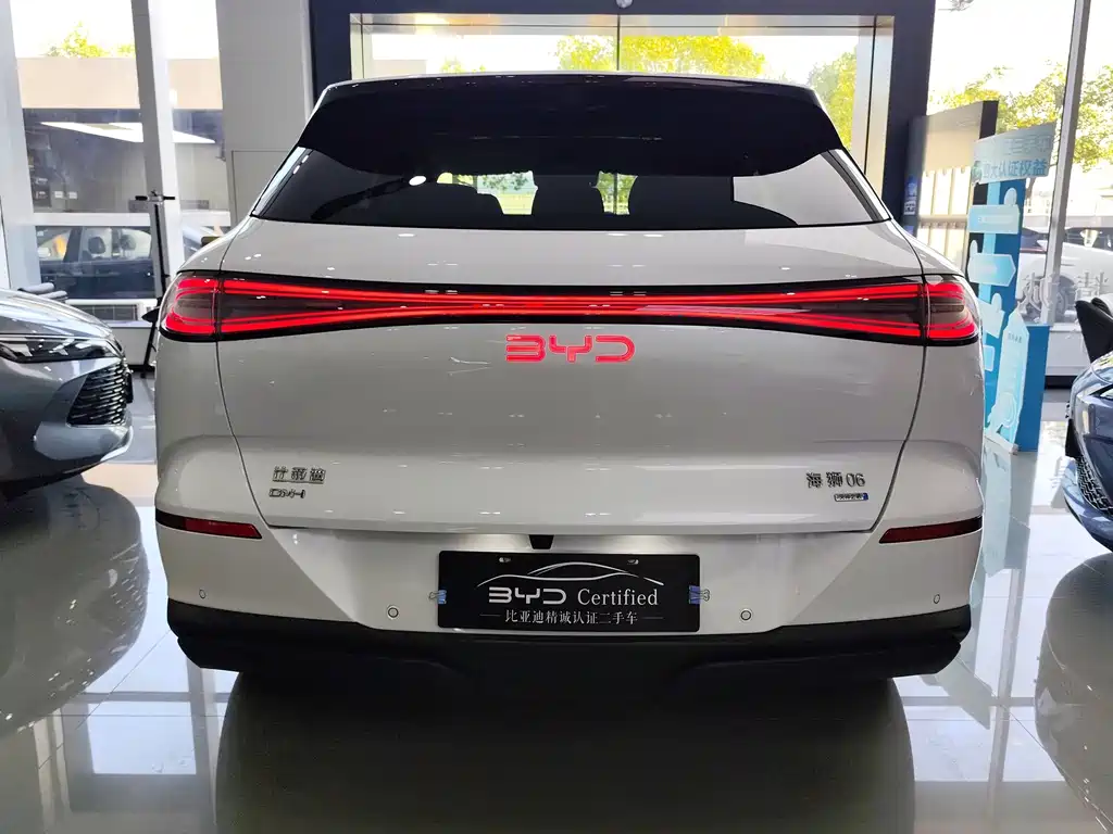 BYD Sealion 06 — миниатюра 5