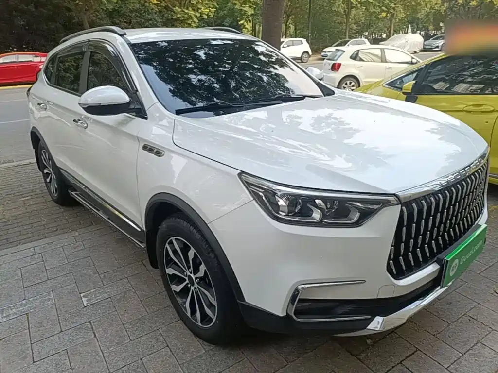 Leopaard Mattu — миниатюра 4