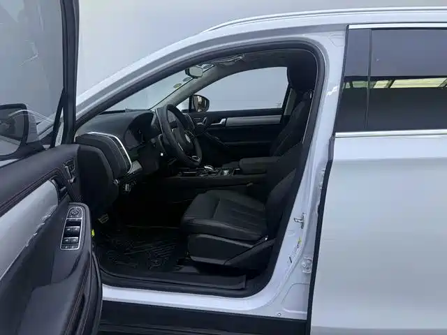 BYD Tang New Energy — миниатюра 12