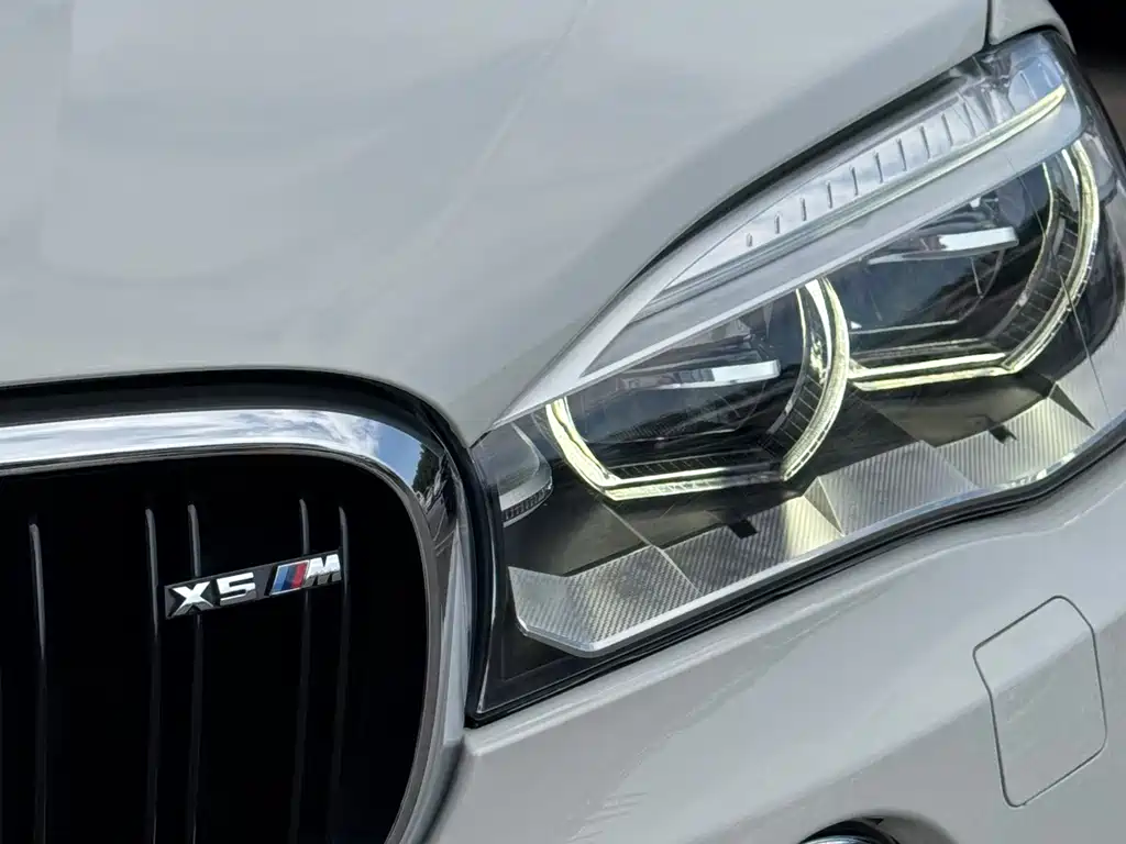 BMW X5 (Import) — миниатюра 7
