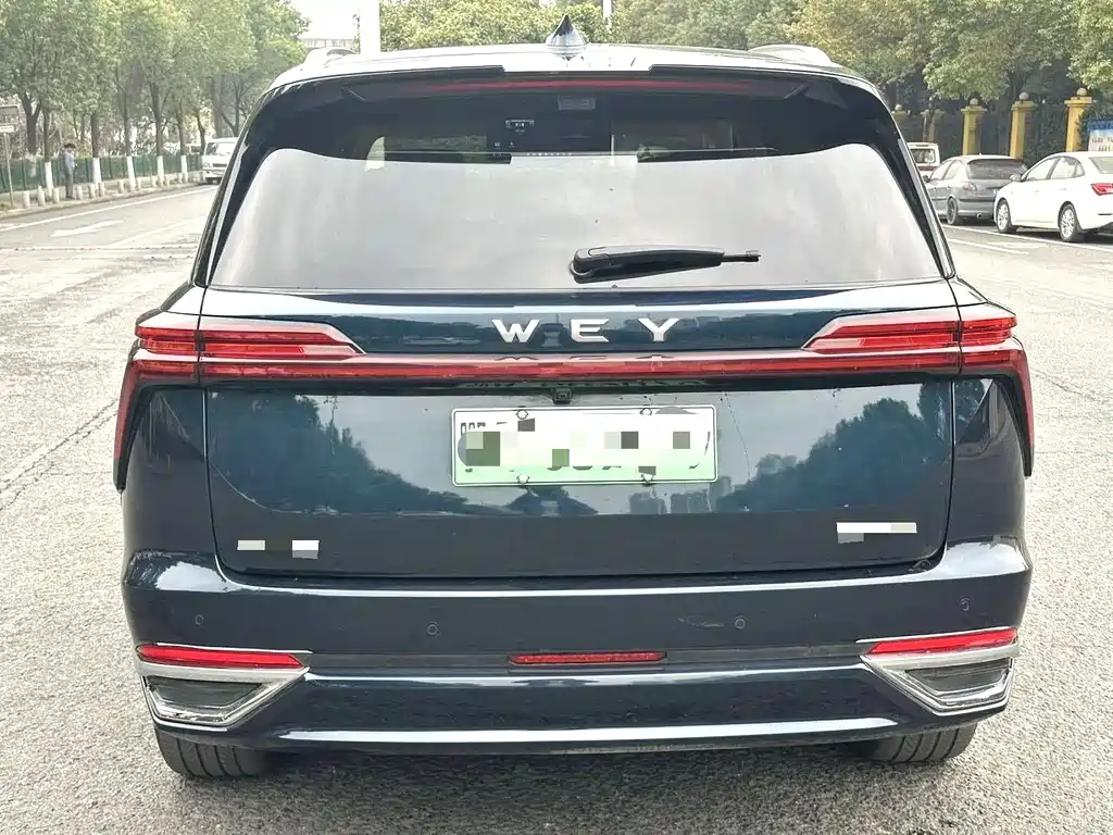 WEI PAI WEI BRAND BLUE MOUNTAIN