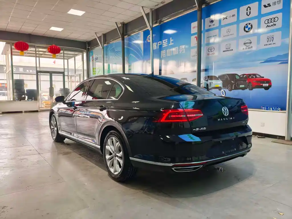Volkswagen Magotan 2019 330TSI DSG Luxury VI