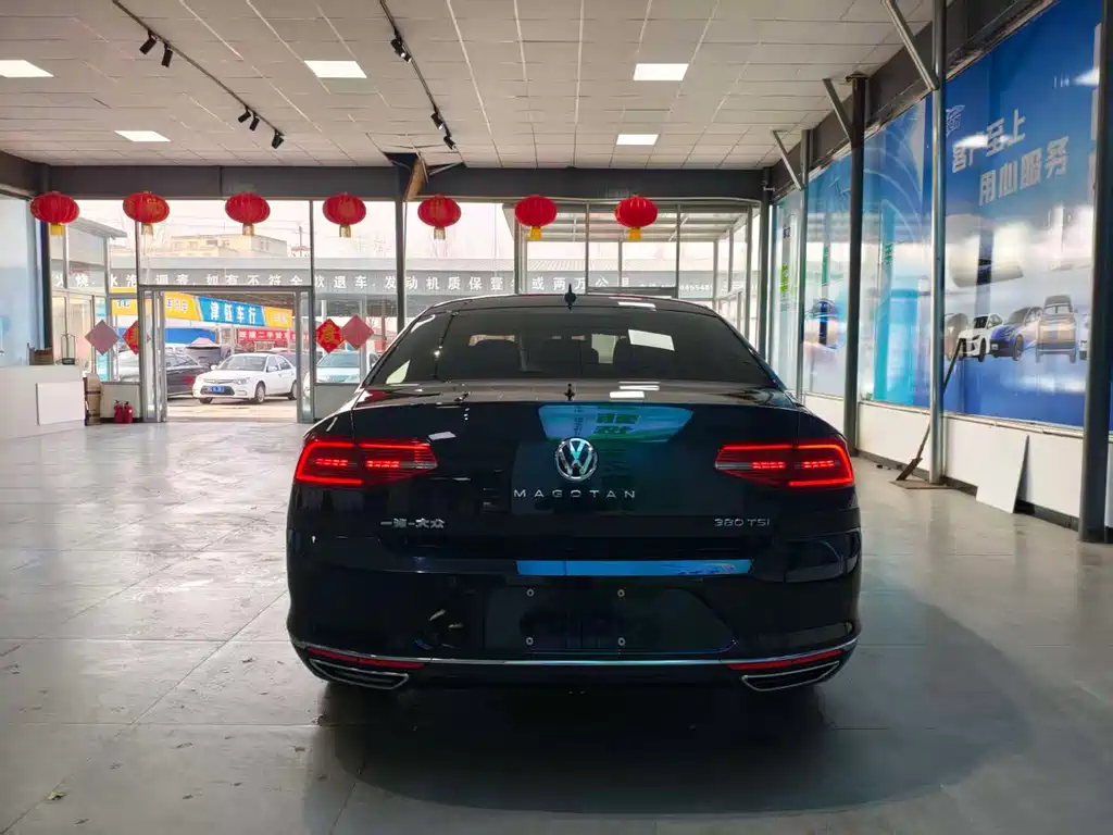 Volkswagen Magotan 2019 330TSI DSG Luxury VI
