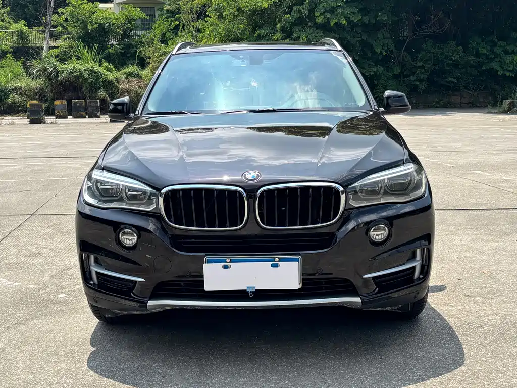 BMW X5 (Import) — миниатюра 3