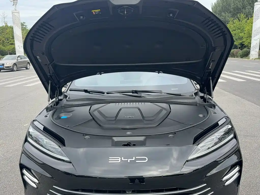 BYD PLUS New Energy — миниатюра 11