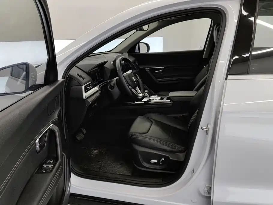 BYD Pro — миниатюра 9