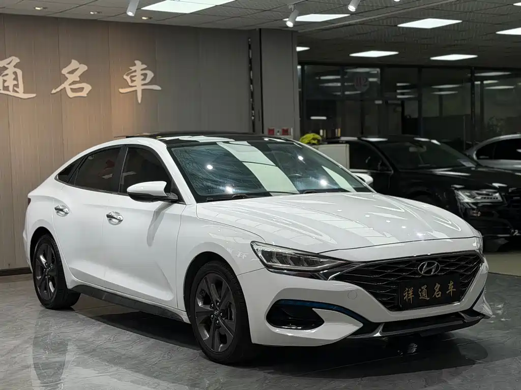 Hyundai Fista — миниатюра 3