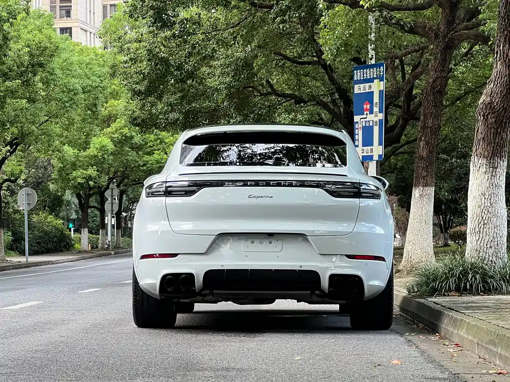 Porsche Cayenne — миниатюра 24