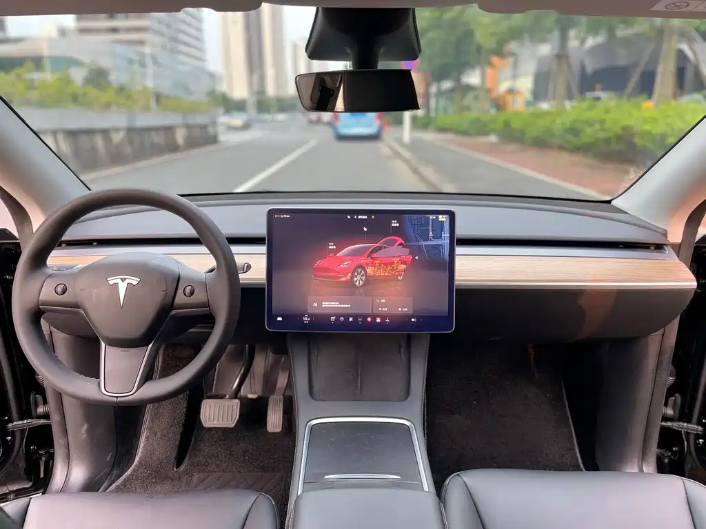 Tesla Model Y — миниатюра 10