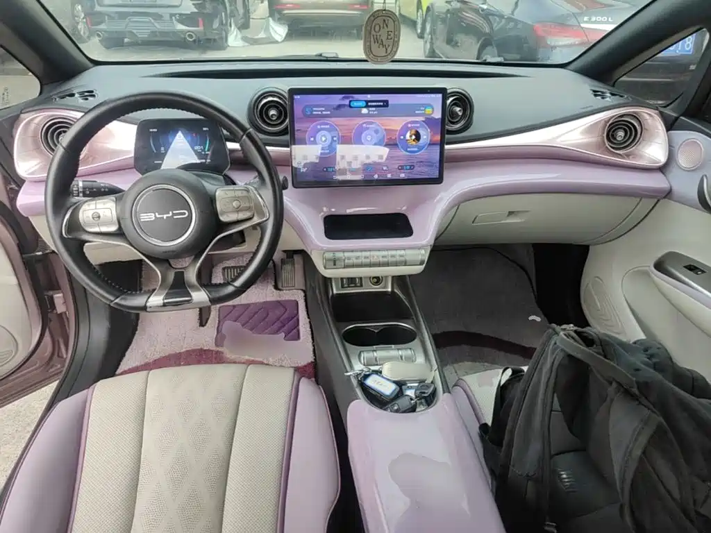 BYD Dolphin — миниатюра 10