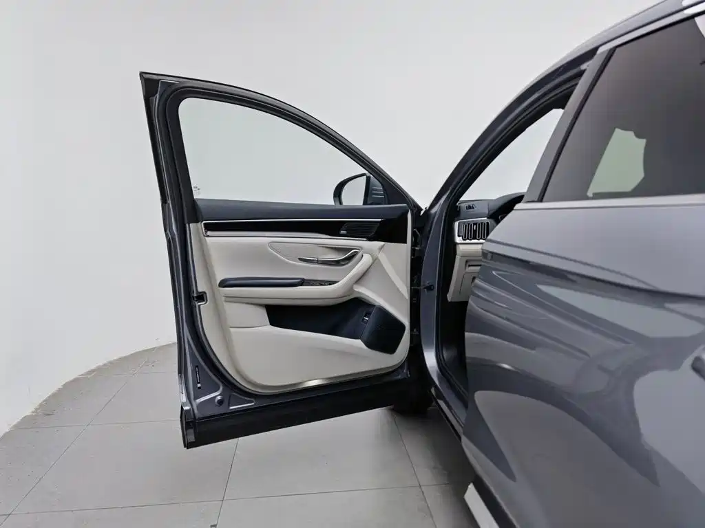 BYD PLUS New Energy — миниатюра 8