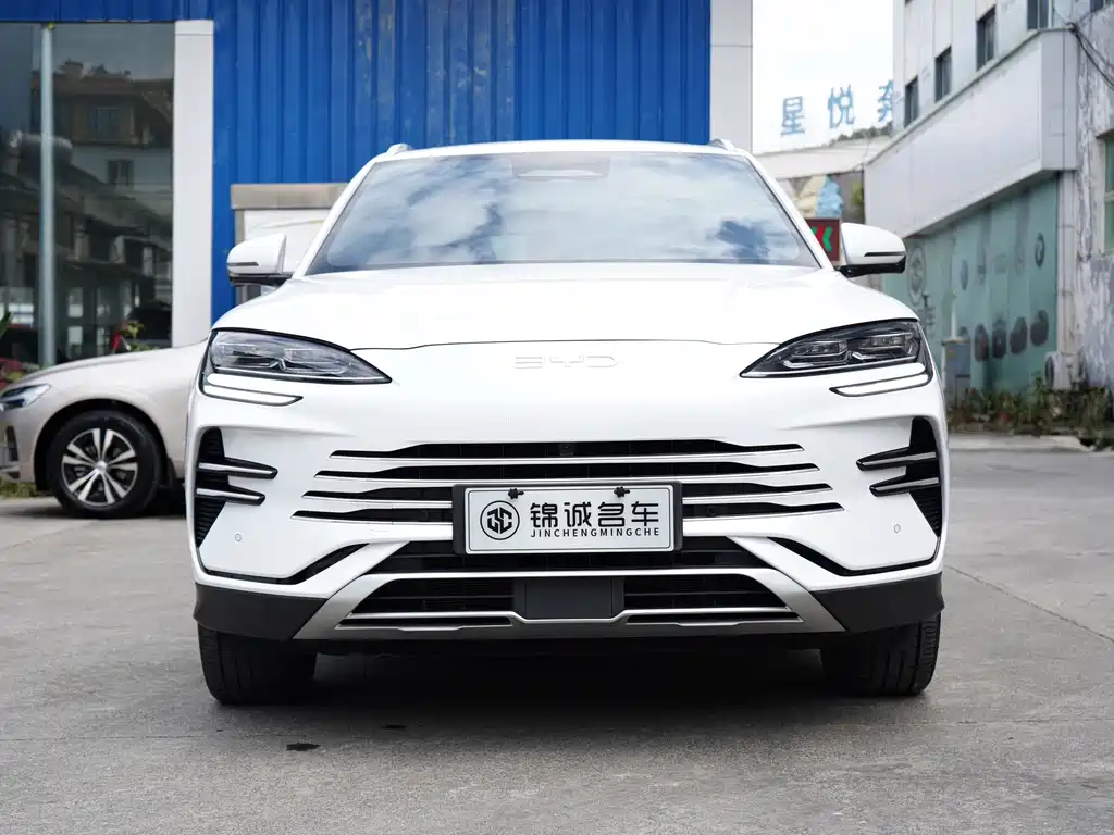 BYD PLUS New Energy — миниатюра 2