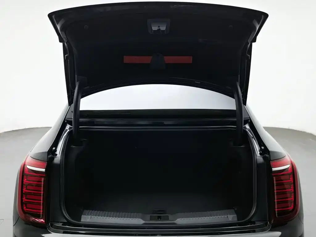 Hongqi Hongqi H9 — миниатюра 16