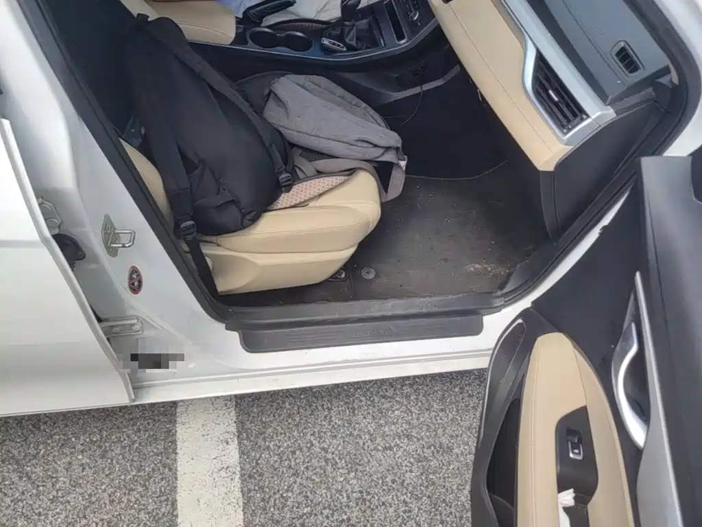 Geely Emgrand — миниатюра 9
