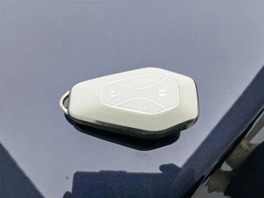 ARCFOX EXTREME FOX POLAR FOX ALPHA T5