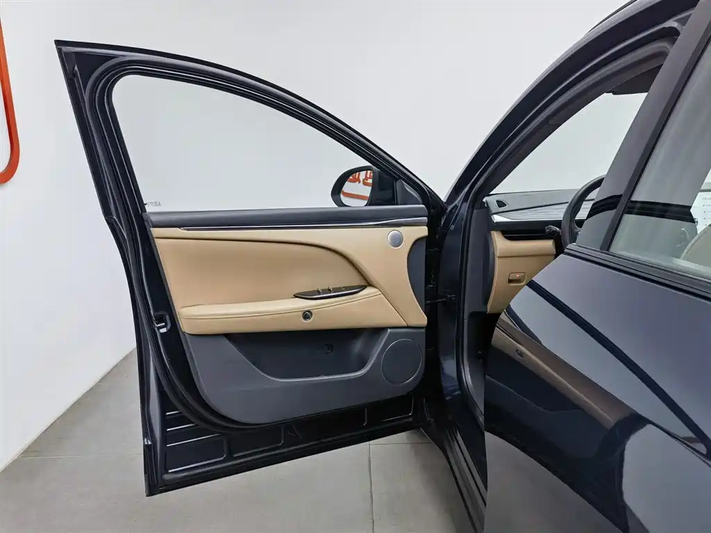 ARCFOX EXTREME FOX POLAR FOX ALPHA T5