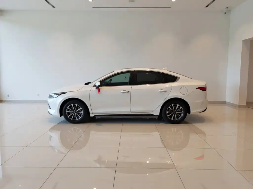 BYD Destroyer 05 — миниатюра 26