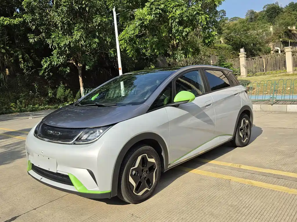 BYD Dolphin