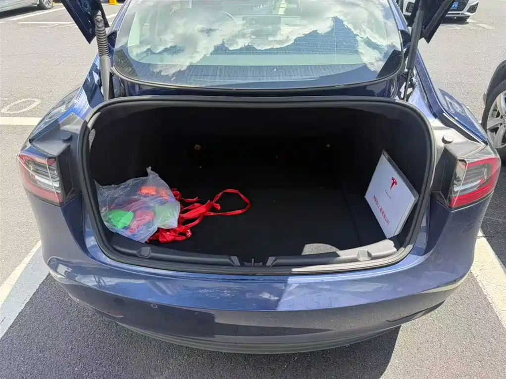 Tesla Model 3 — миниатюра 8