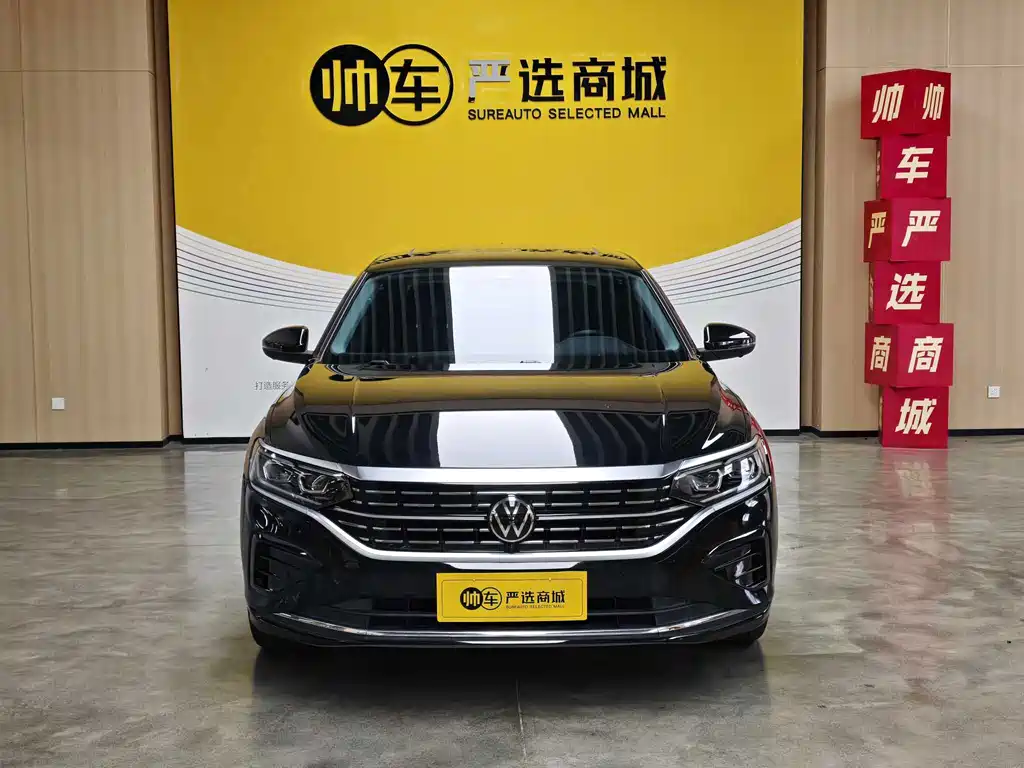 Volkswagen Passat — миниатюра 3