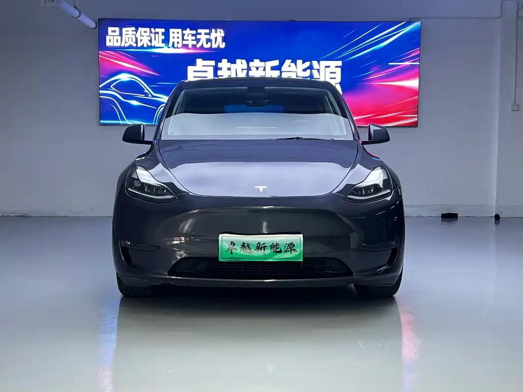Tesla Model Y — миниатюра 2
