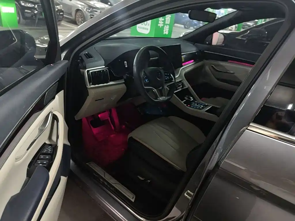BYD PLUS New Energy — миниатюра 18